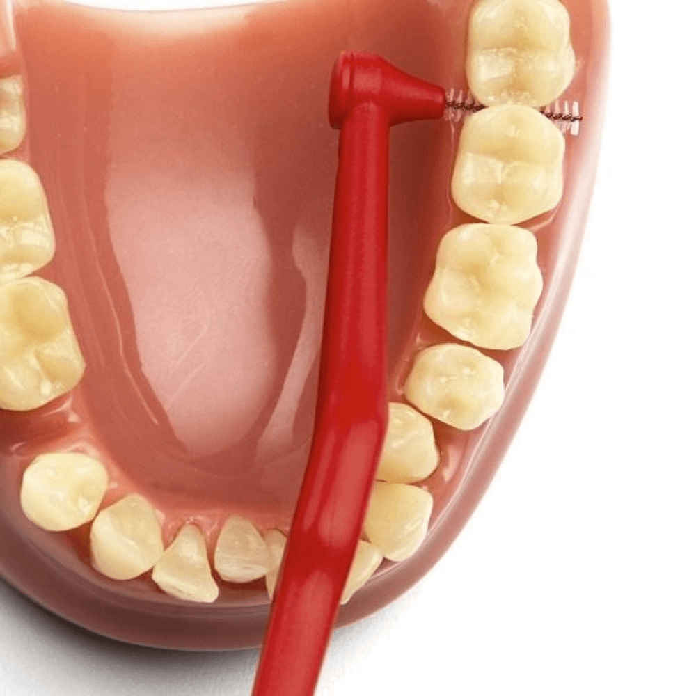 TePe ANGLE 0,5 mm hambavaheharjad PUNANE (2 suurus, 6 tk pakis - pika pidemega interdentaalhari) – Kuva 3