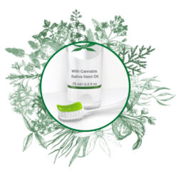 Dentissimo CBD Cannabis Sativa Seed Oil hambapasta-geel 75ML (kanepiseemneõliga) – Kuva 2